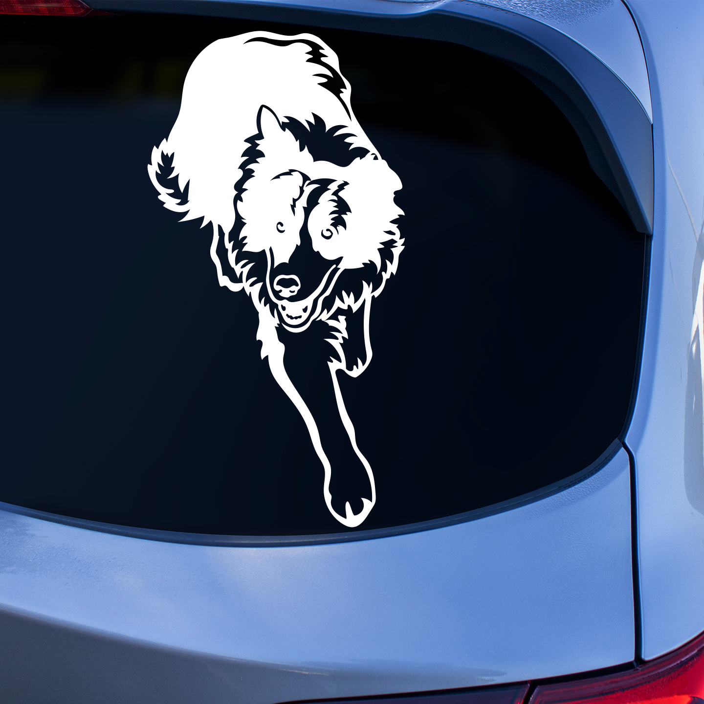 Border Collie Sticker