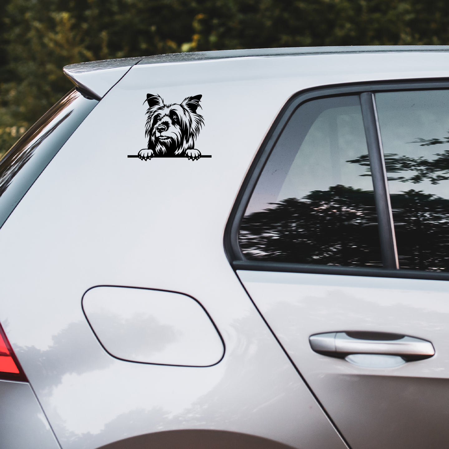 Silky Terrier Sticker