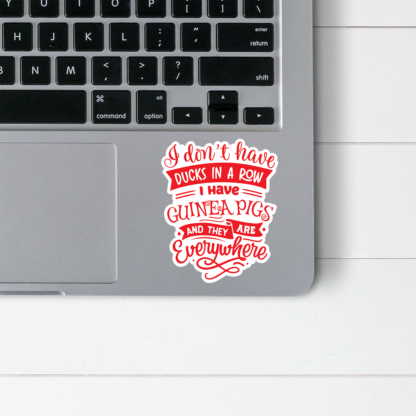 Guinea Pigs Everywhere Sticker