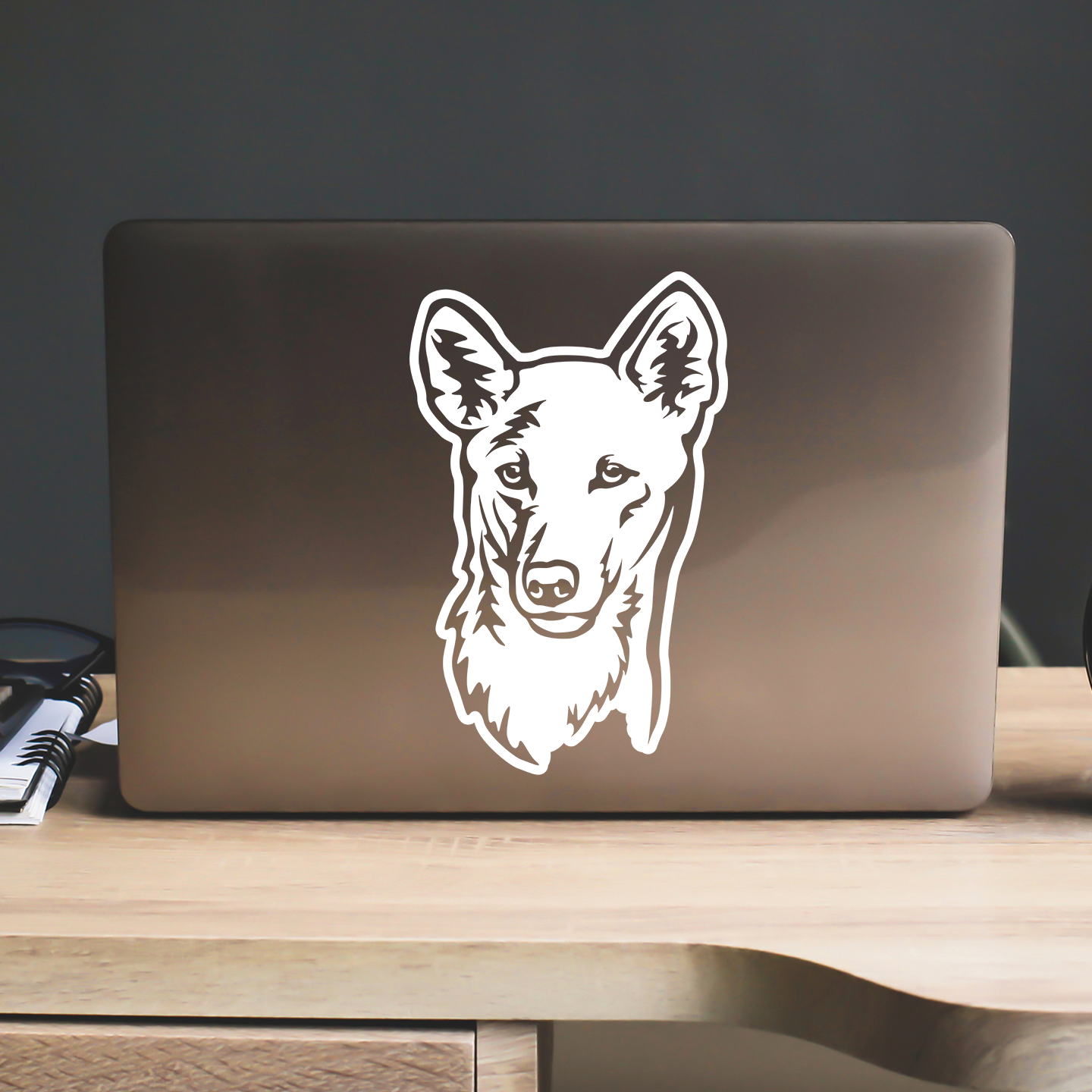 Dingo Sticker