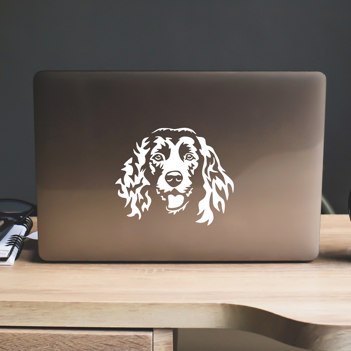 Boykin Spaniel Sticker