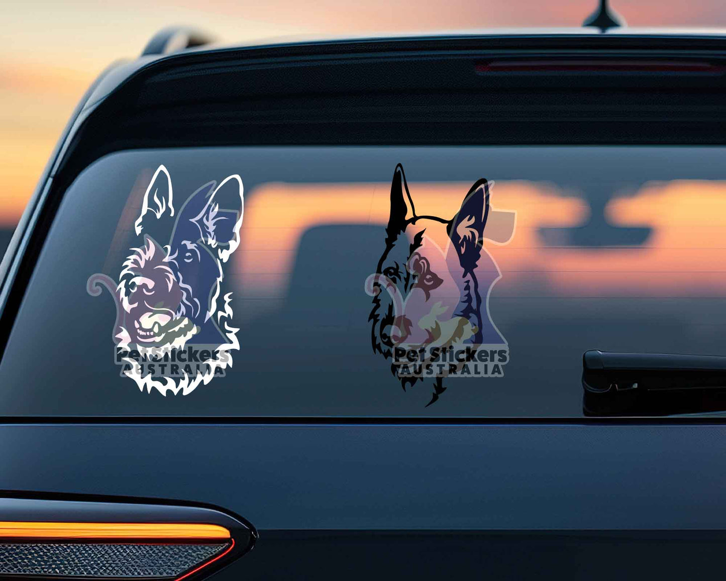 Belgian Laekenois Sticker