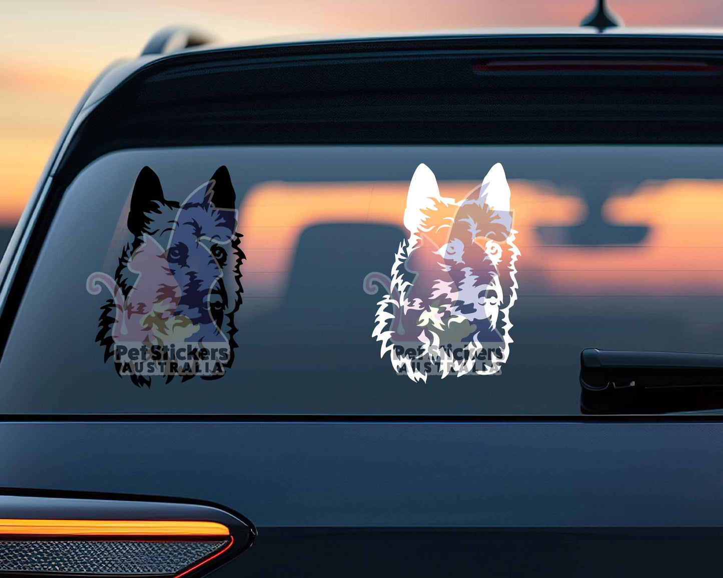 Belgian Laekenois Sticker