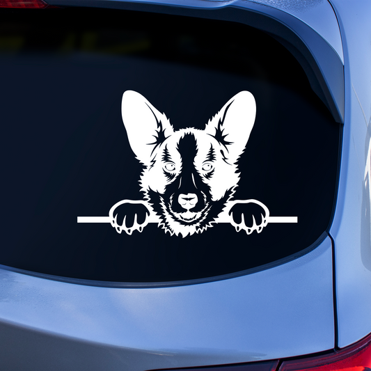 Corgi Sticker
