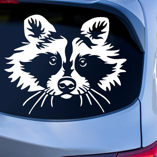 Raccoon Sticker