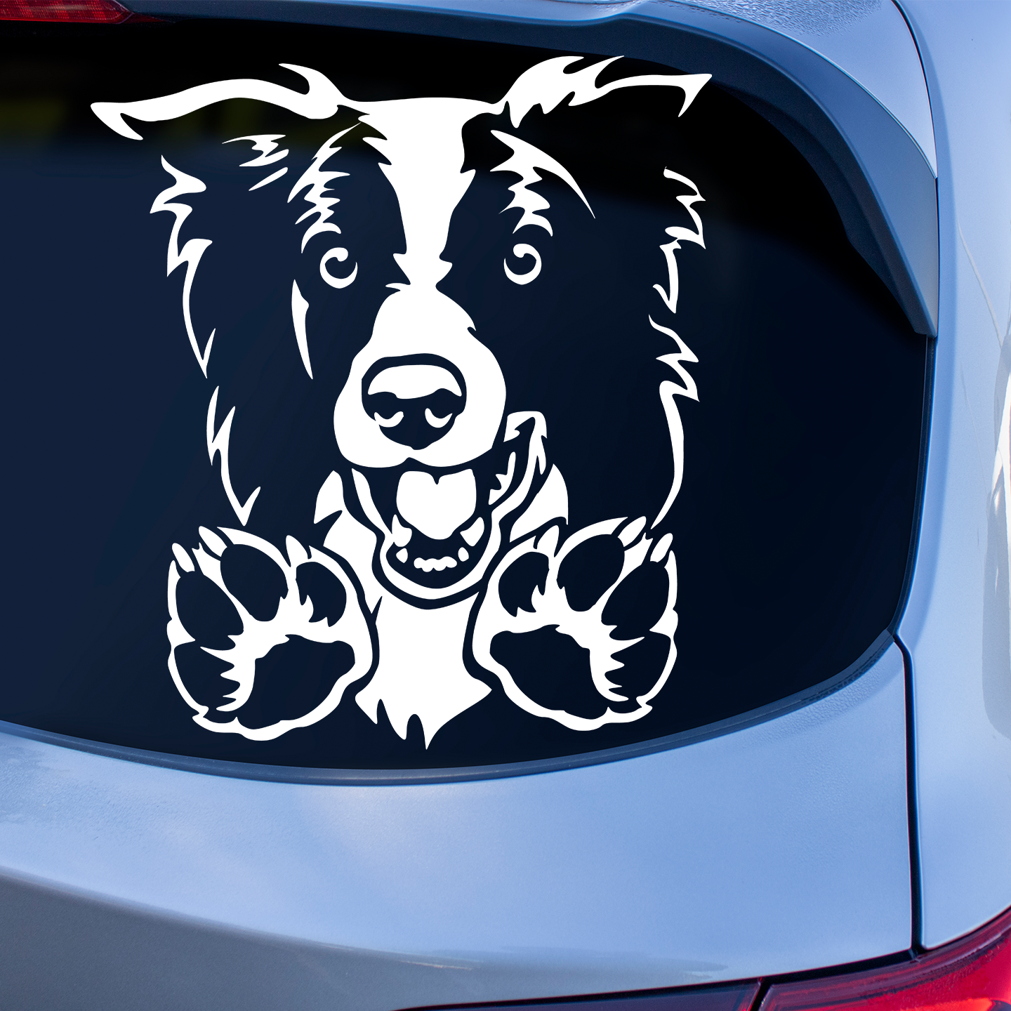 Border Collie Peeping Sticker
