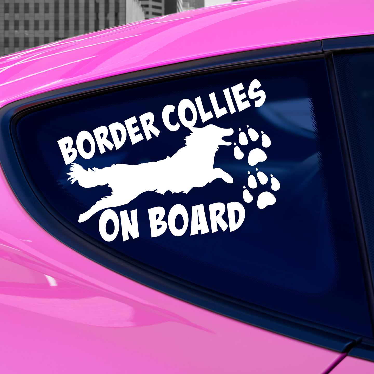 Border Collies On Board Sticker