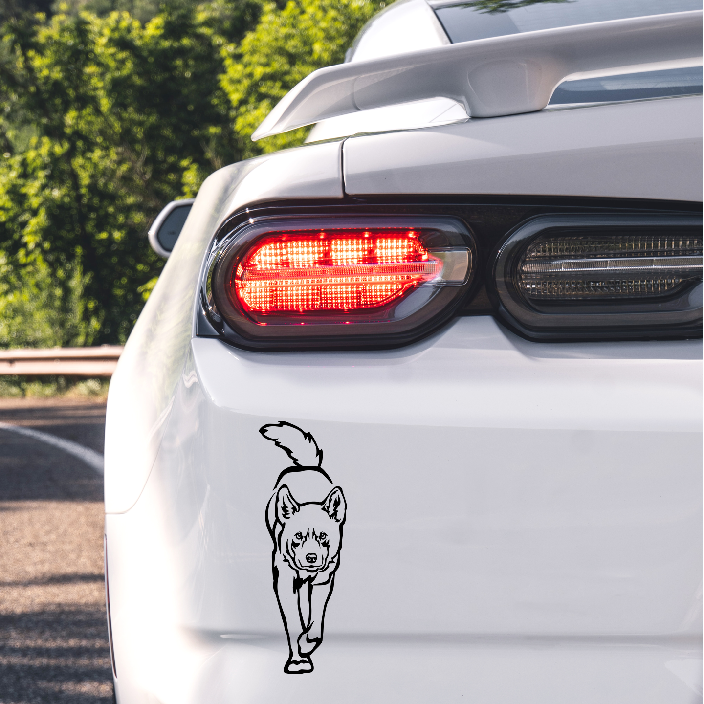 Dingo Prowling Sticker