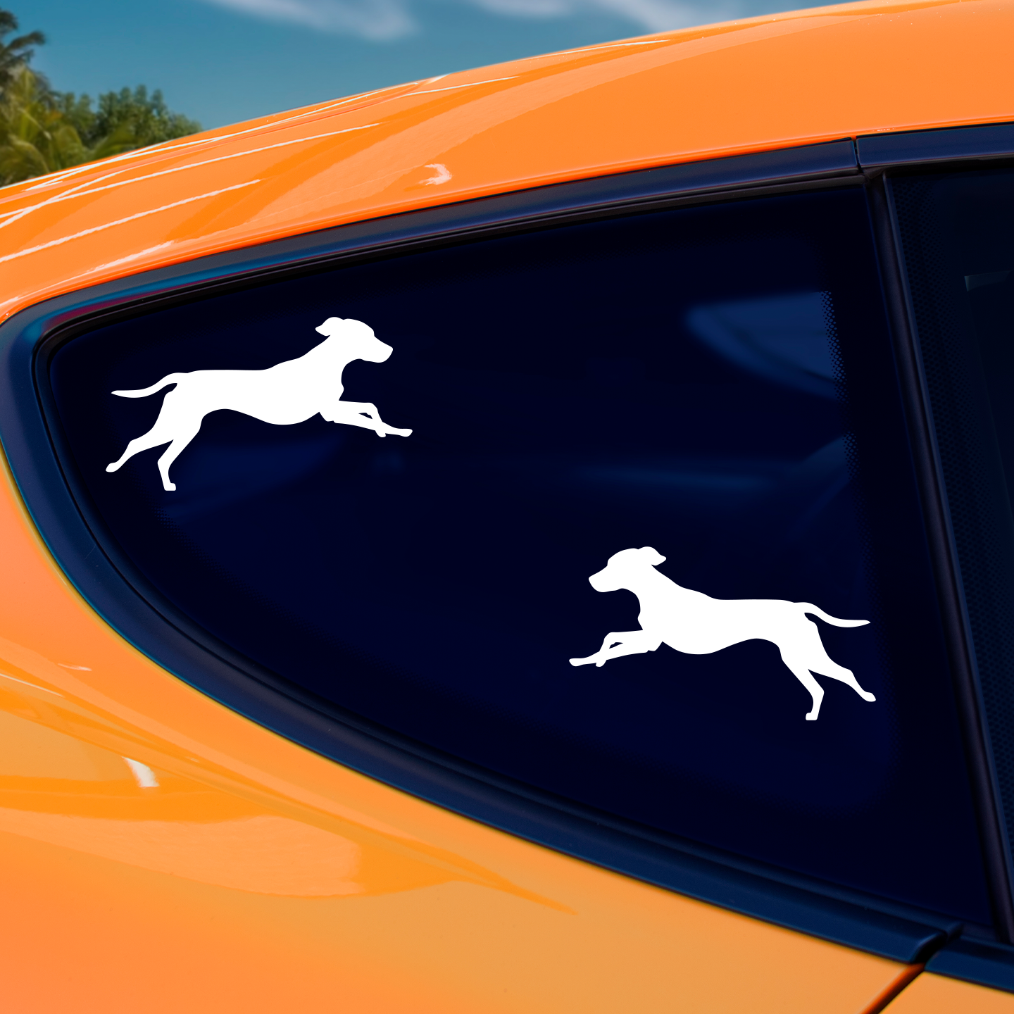 Bull Arab Silhouette Stickers