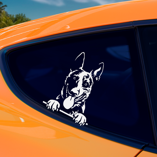 Dutch Shepherd Sticker