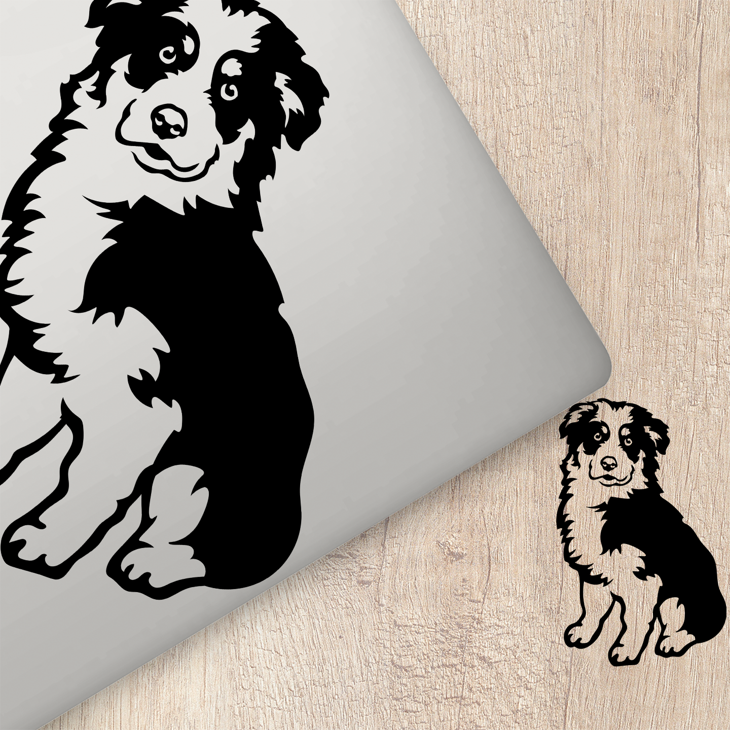 Australian Shepherd Sticker