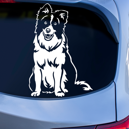 Border Collie Sitting Sticker