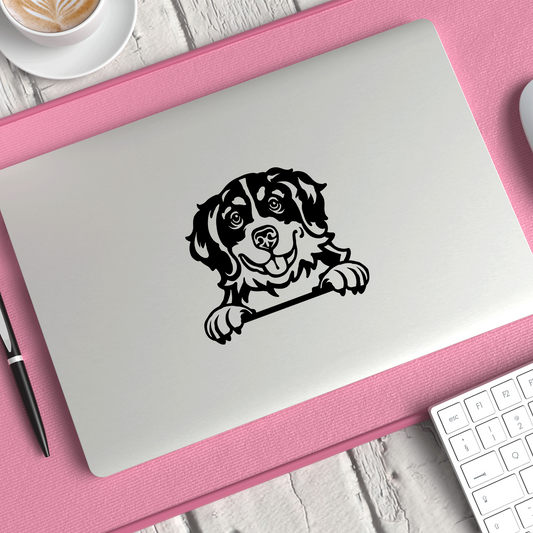 Bernese Mountain Dog Sticker