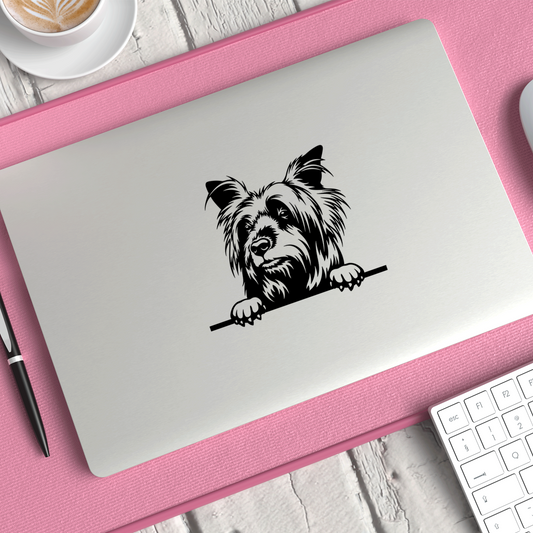 Silky Terrier Sticker