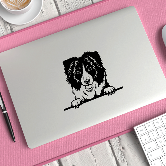 Border Collie Sticker