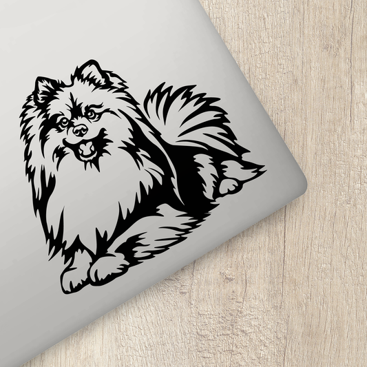 German Spitz Sticker