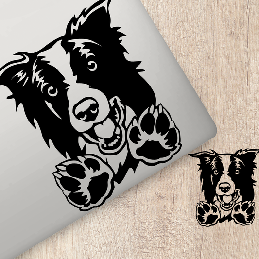 Border Collie Peeping Sticker