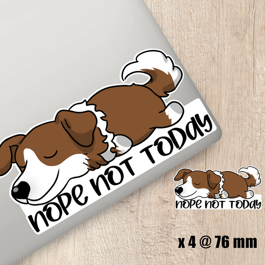 Chocolate Border Collie Nope Not Today Sticker
