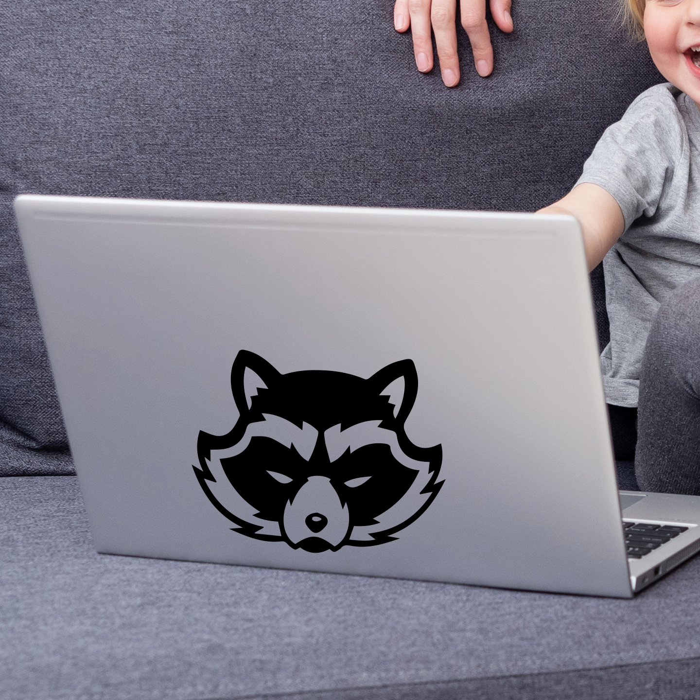 Raccoon Sticker