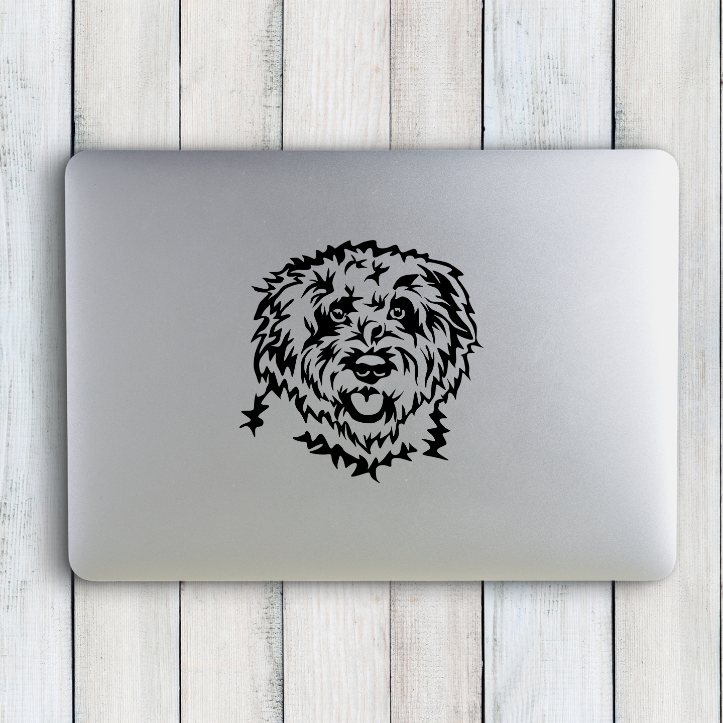 Lagotto Romagnolo Sticker