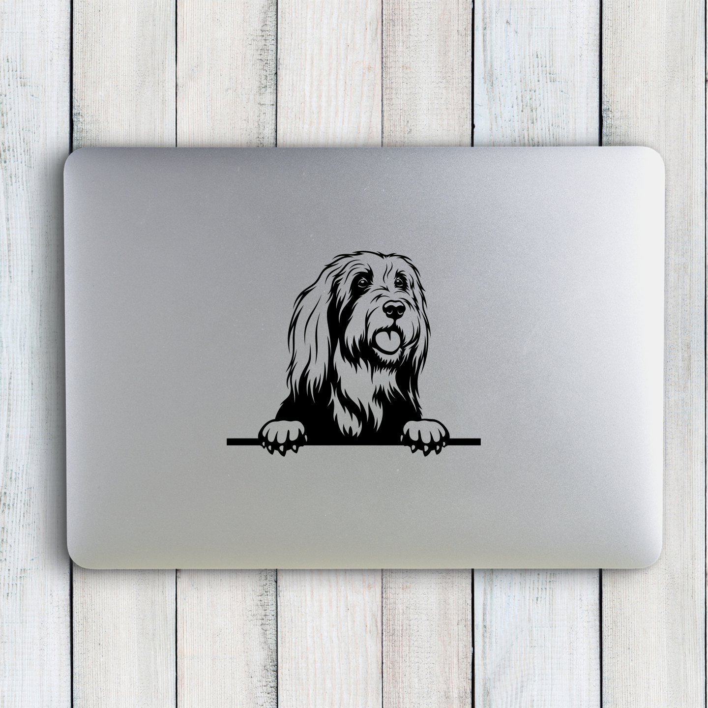 Smithfield Collie Sticker