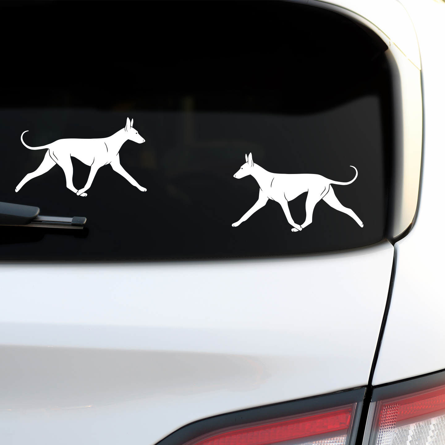 Pharaoh Hound Silhouette Stickers