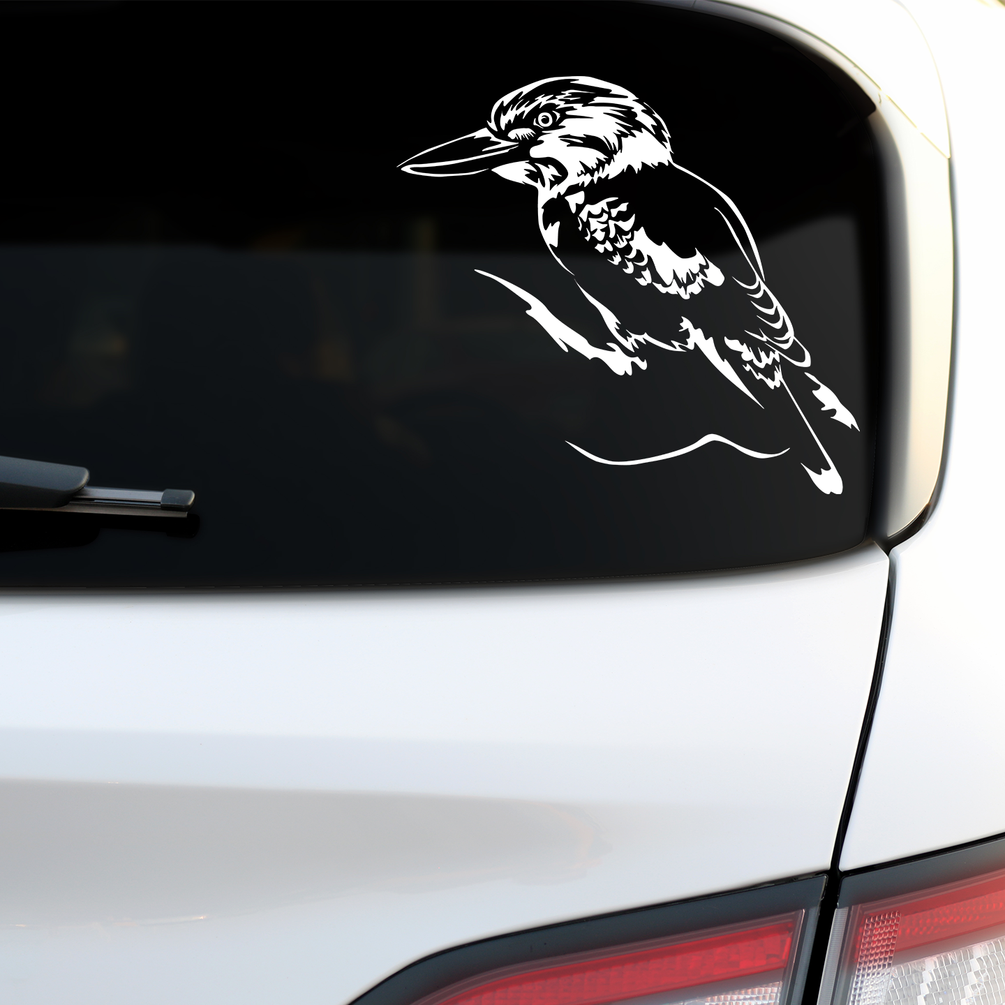 Kookaburra Sticker