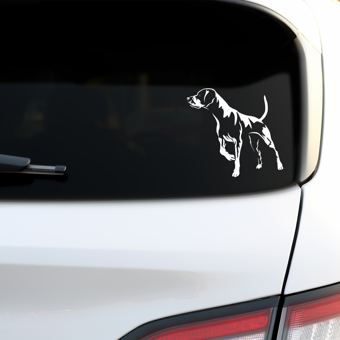 English Pointer Sticker