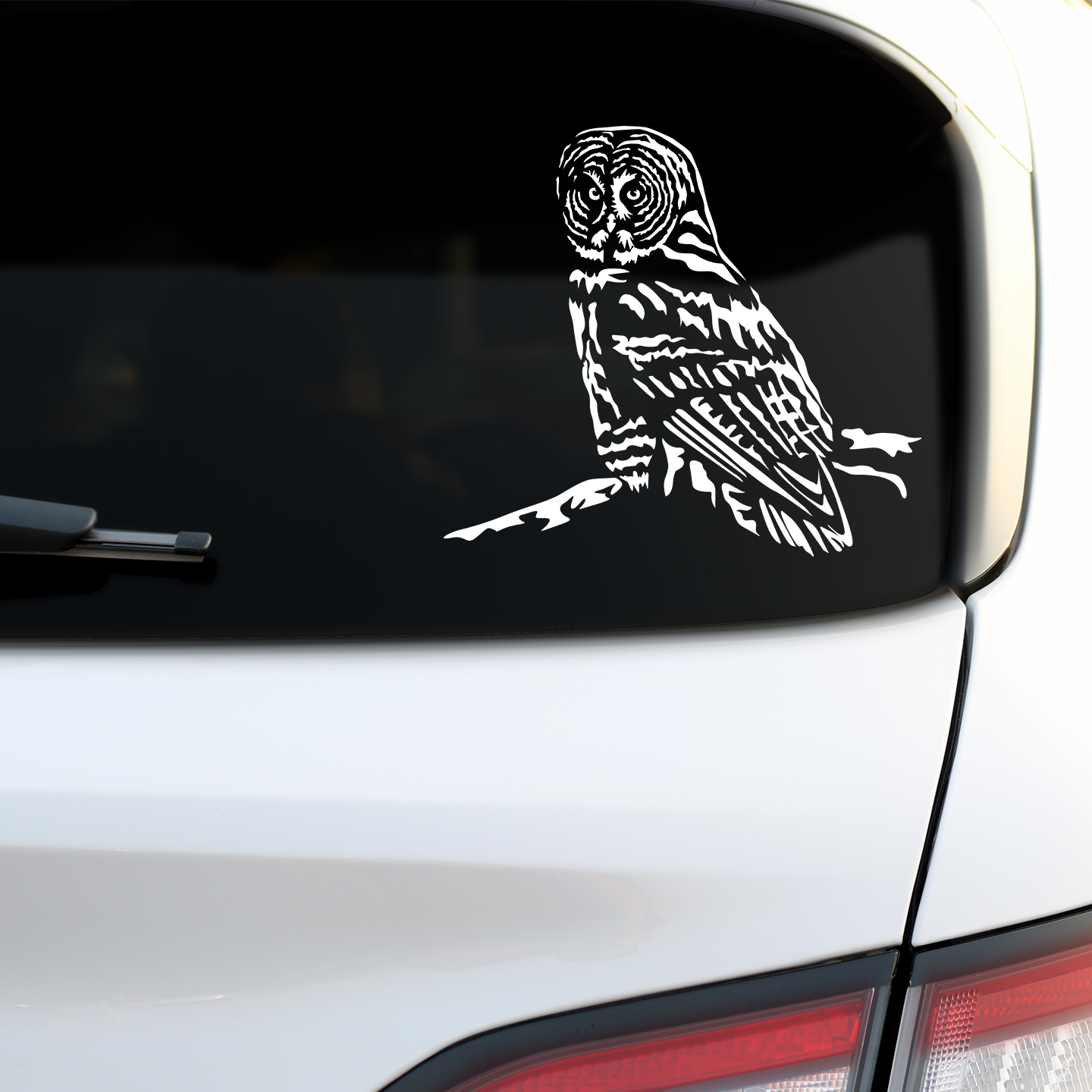 Great Grey Owl Sticker