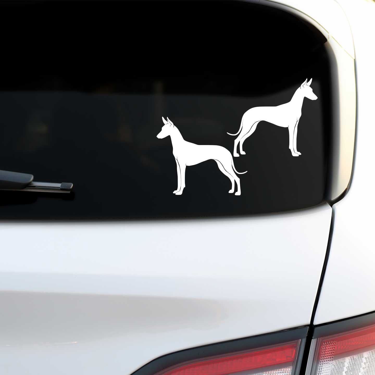 Pharaoh Hound Silhouette Stickers