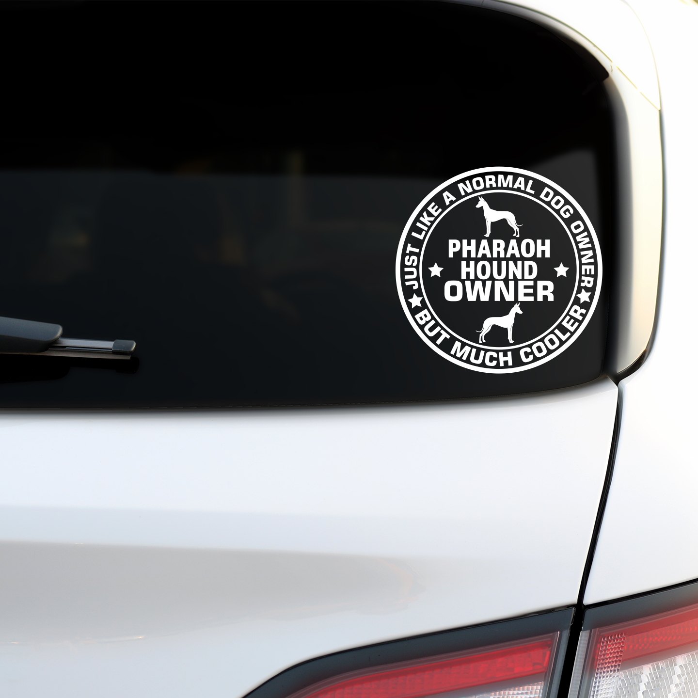 Pharaoh Hound Sticker