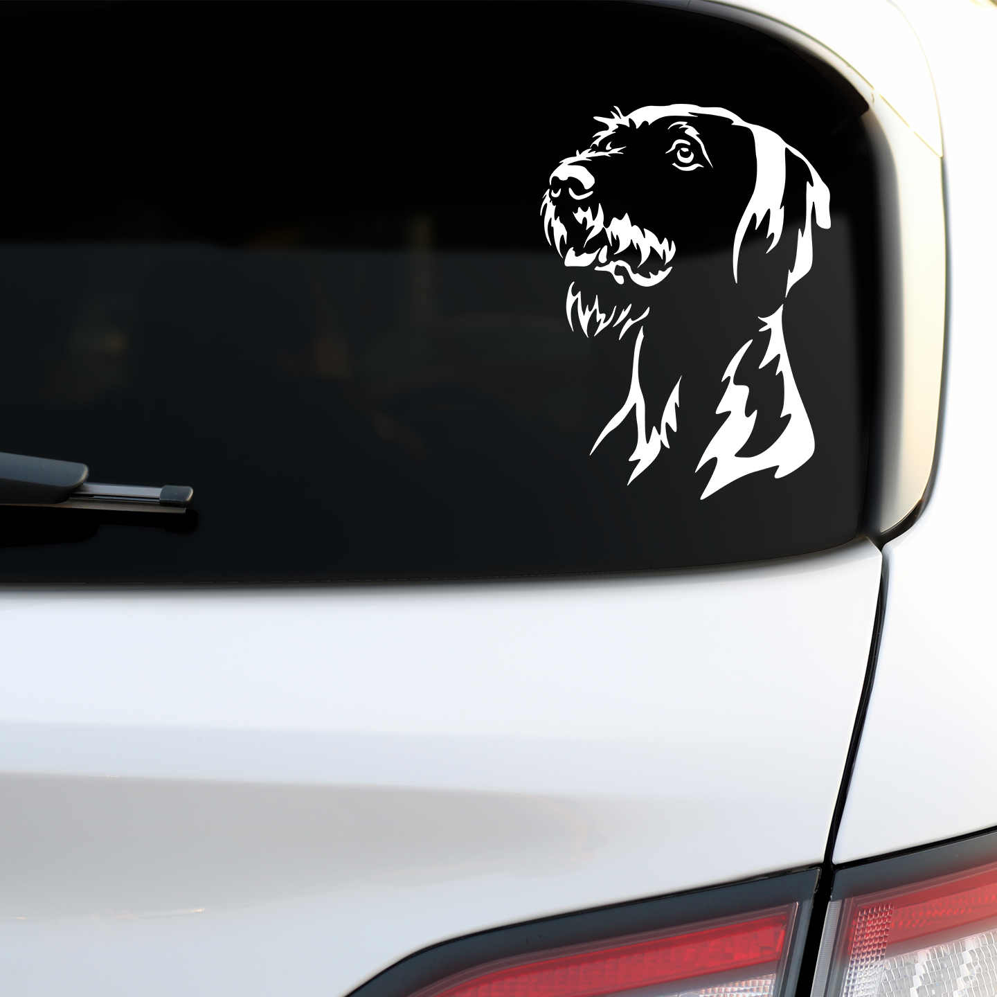 Hungarian Wirehaired Vizsla Sticker