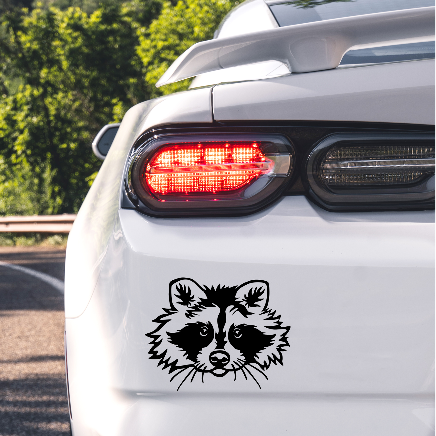 Raccoon Sticker