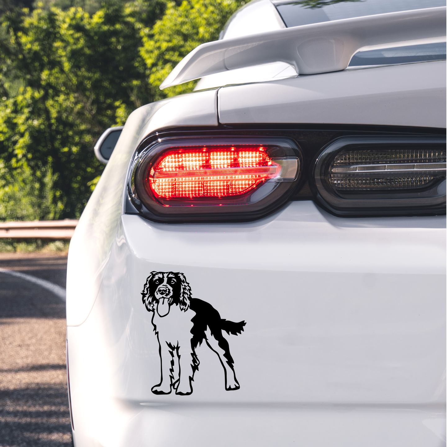 Springer Spaniel Sticker
