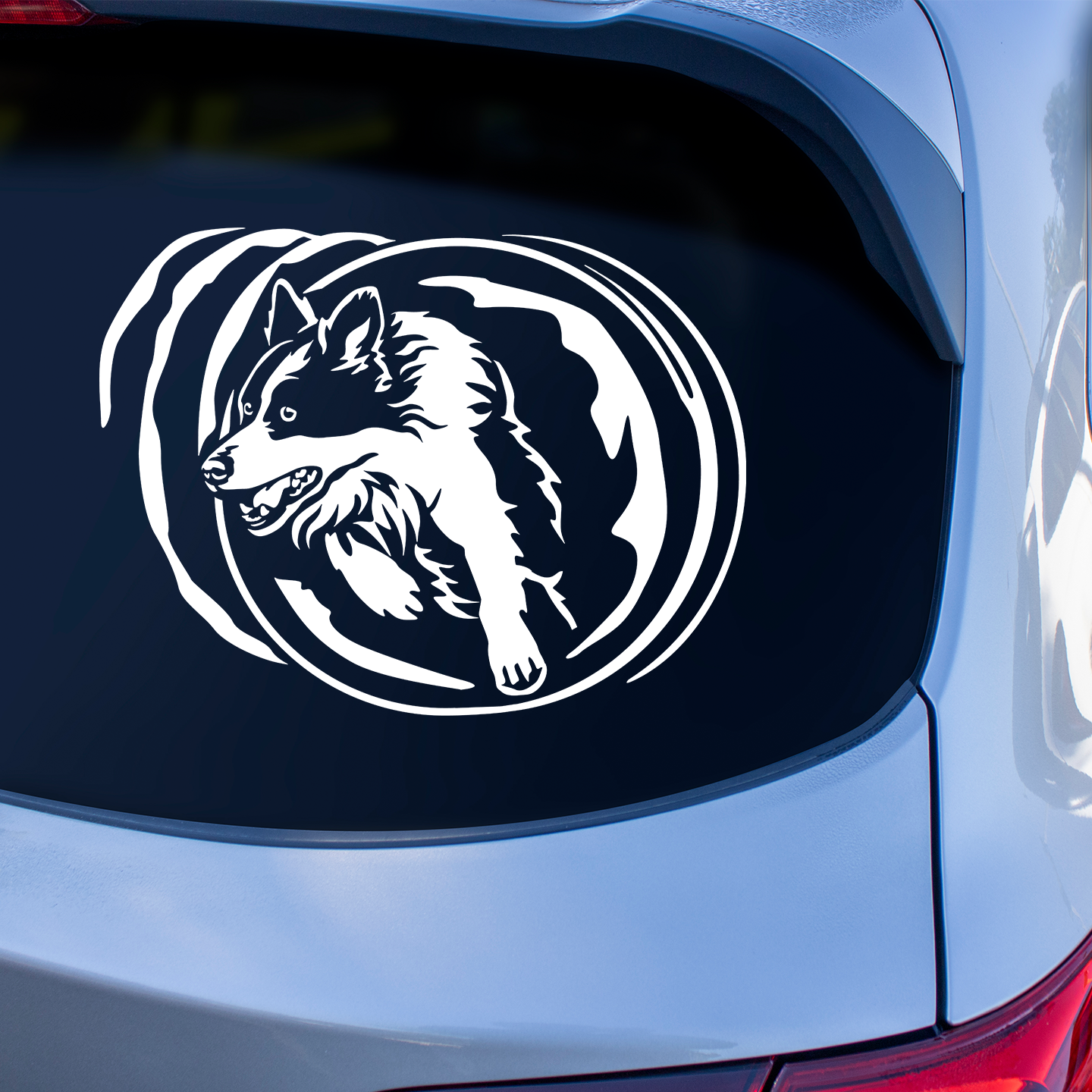 Border Collie In Agility Tunnel Sticker