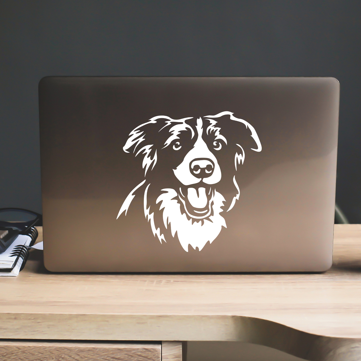 Border Collie Sticker