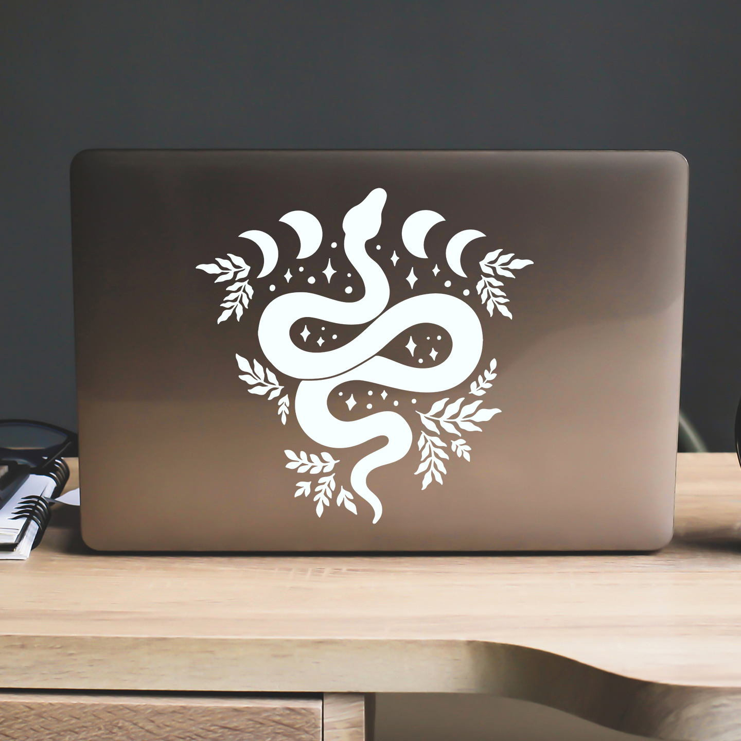 Moon Phases Snake Sticker