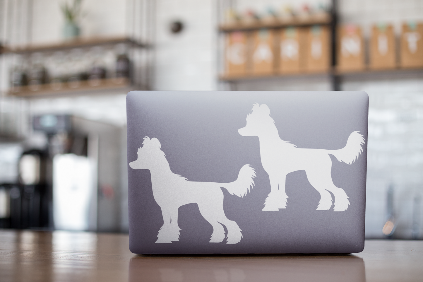 Chinese Crested Sticker