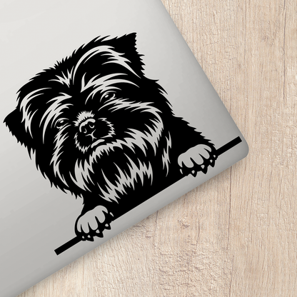 Affenpinscher Sticker