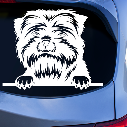 Affenpinscher Sticker white