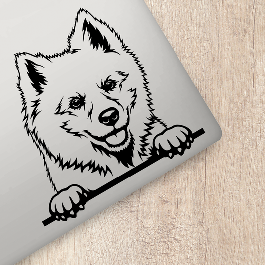 American Eskimo Dog Sticker