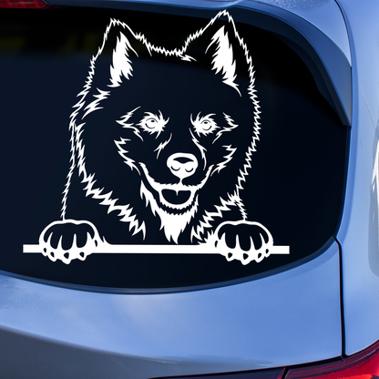 American Eskimo Dog Sticker