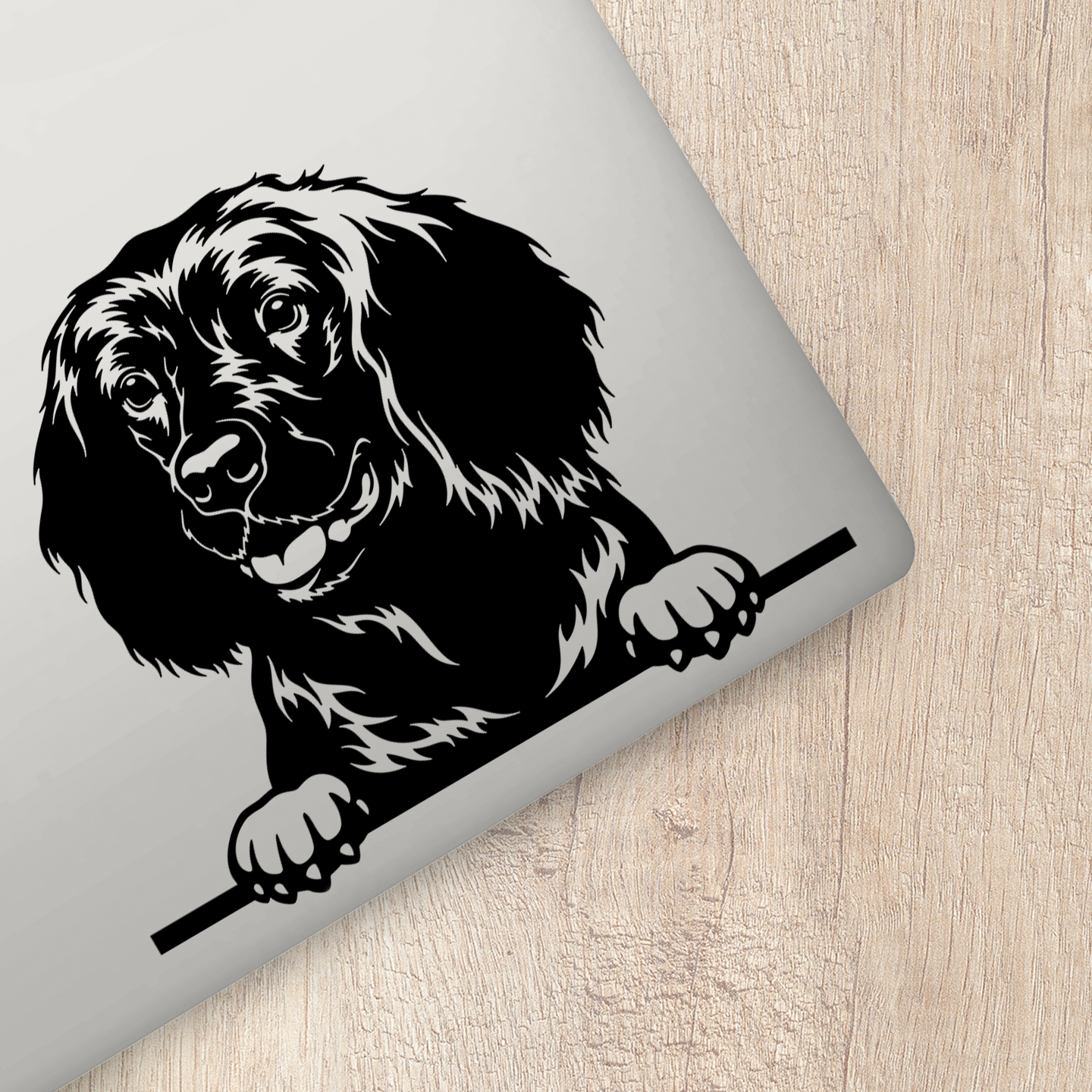 American Water Spaniel Sticker