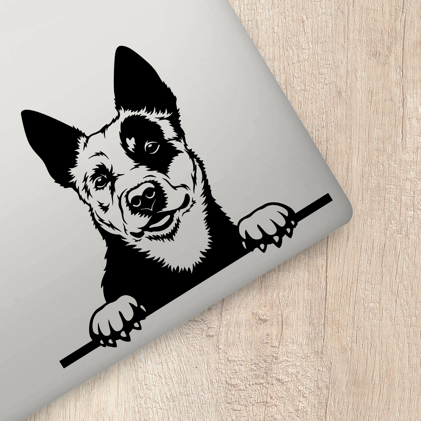 Australian Cattle Dog Custom Sticker