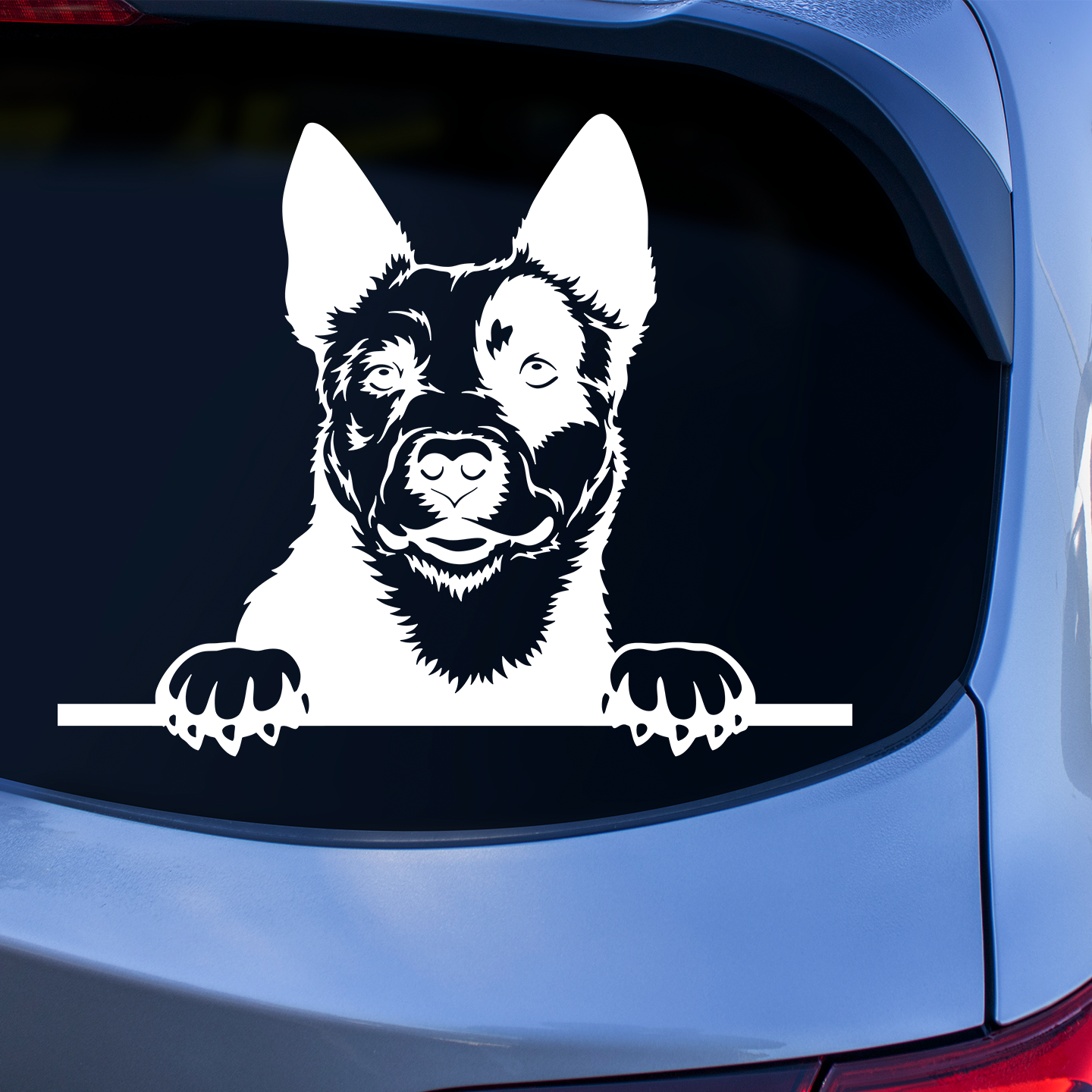 Australian Cattle Dog Custom Sticker