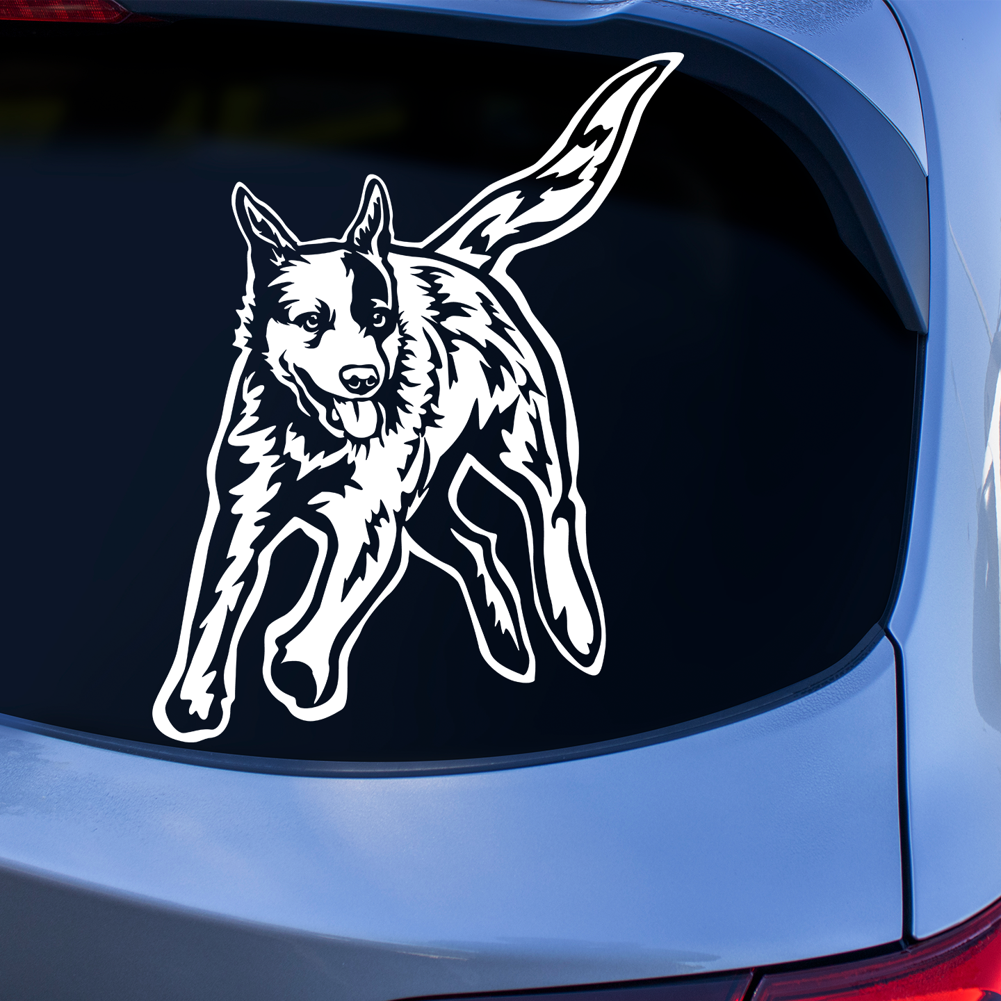 Australian Cattle Dog Sticker