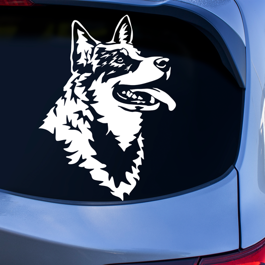 Australian Cattle Dog Sticker