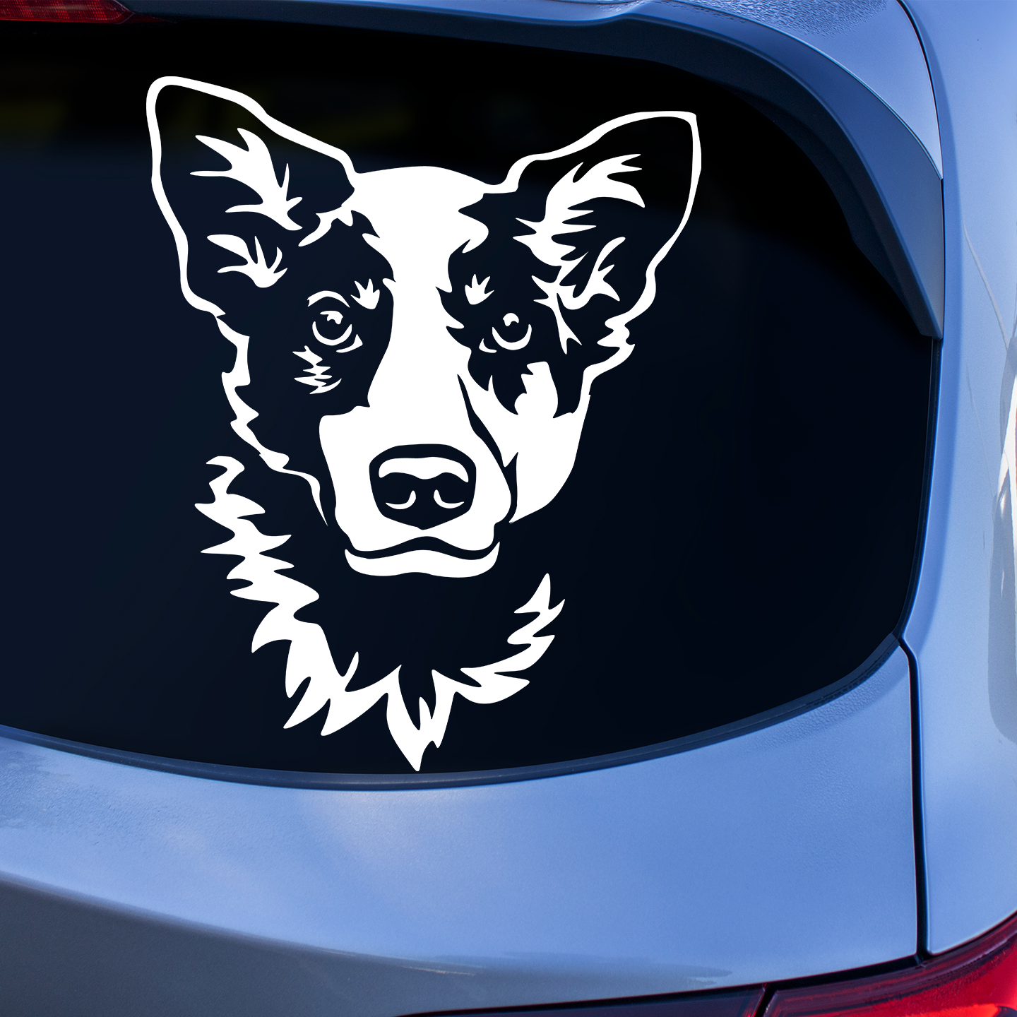 Australian Cattle Dog Sticker