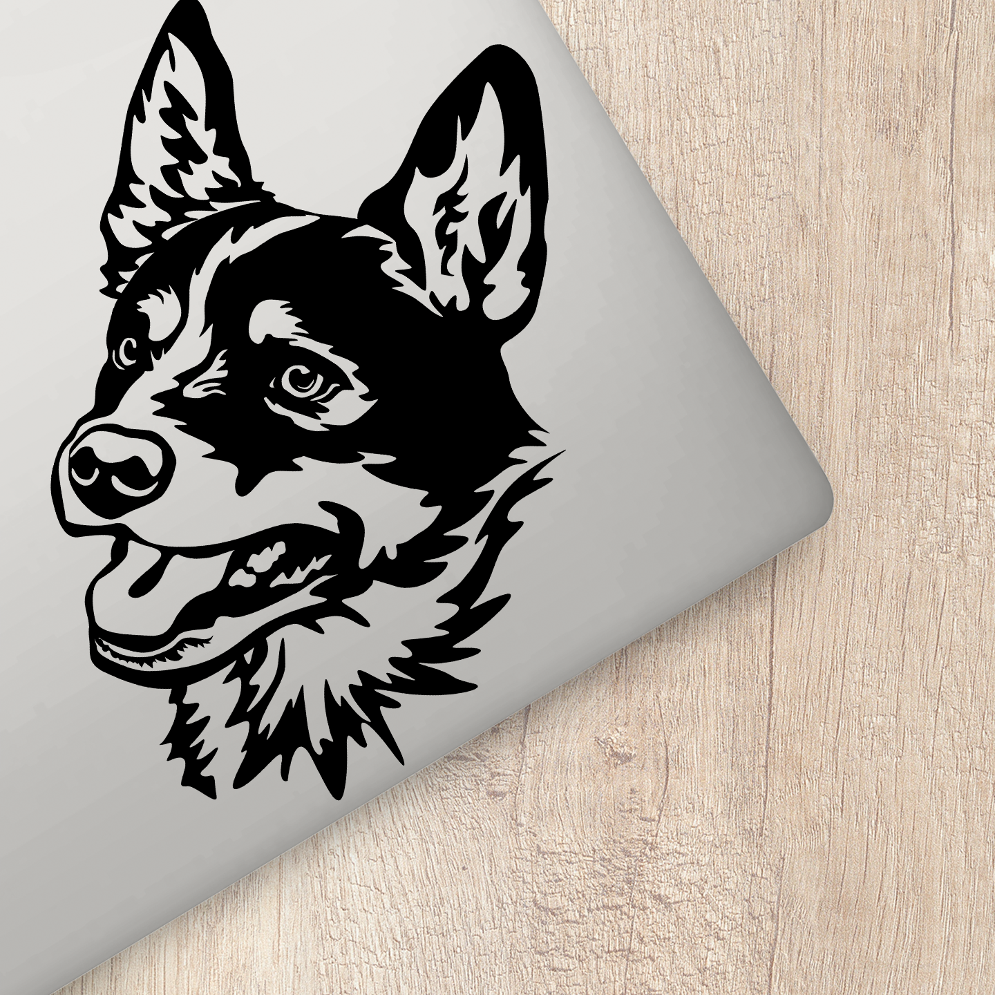 Australian Cattle Dog Sticker