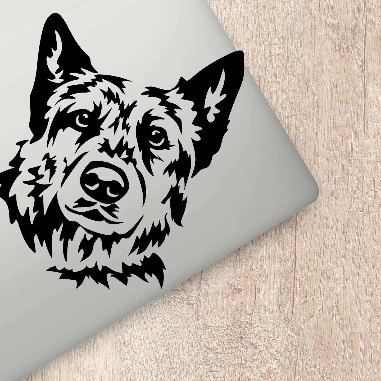 Australian Cattle Dog Sticker